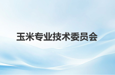 玉米专业技术委员会