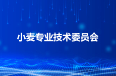 小麦专业技术委员会